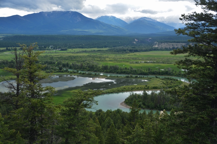 Columbia wetlands